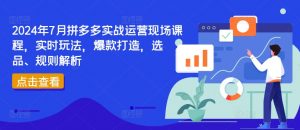 2024年7月拼多多实战运营现场课程,实时玩法,爆款打造,选品、规则解析-一点通资源网