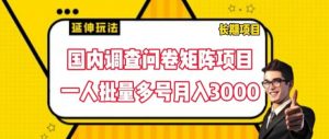 国内调查问卷矩阵项目,一人批量多号月入3000【揭秘】-一点通资源网