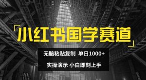 小红书国学赛道，无脑粘贴复制，单日1K，实操演示，小白即刻上手【揭秘】-一点通资源网