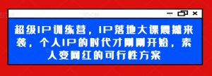 超级IP训练营,IP落地大课震撼来袭,个人IP的时代才刚刚开始,素人变网红的可行性方案-一点通资源网