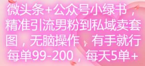 微头条+公众号小绿书,精准引流男粉到私域卖套图,无脑操作,有手就行,每单99-200,每天5单-一点通资源网