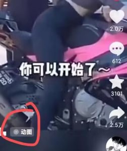 2024年7月苹果手机动图搬运技术-一点通资源网