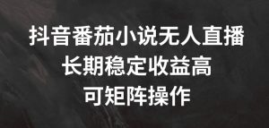 抖音番茄小说无人直播，长期稳定收益高，可矩阵操作【揭秘】-一点通资源网