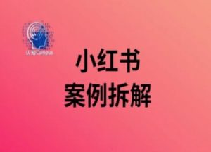小红书案例拆解,深度解读小红书40万粉-一点通资源网