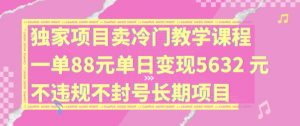 独家项目卖冷门教学课程一单88元单日变现5632元违规不封号长期项目【揭秘】-一点通资源网