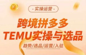 跨境拼多多TEMU实操与选品,多多temu跨境选品运营实操-一点通资源网