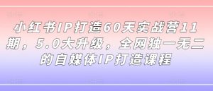 小红书IP打造60天实战营11期，5.0大升级，全网独一无二的自媒体IP打造课程-一点通资源网