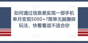 如何通过信息差实现一部手机单月变现5000+?简单无脑搬砖玩法,快看看适不适合你【揭秘】-一点通资源网