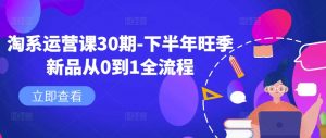 淘系运营课30期-下半年旺季新品从0到1全流程-一点通资源网