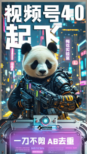 梅花实验窒微信视频号连怼玩法技巧起飞4.0一键AB破解版【揭秘】-一点通资源网