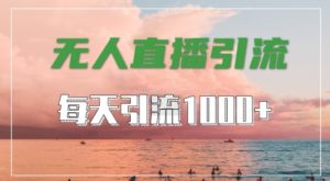 抖音快手视频号全平台通用,无人直播引流法,超暴力引流1000+高质量精准创业粉【揭秘】-一点通资源网