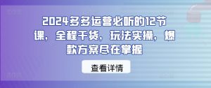2024多多运营必听的12节课,全程干货,玩法实操,爆款方案尽在掌握-一点通资源网