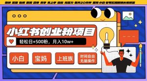小红书创业粉项目日+500粉，每天20分钟躺赚长尾收益，无脑操作，宝妈，小白抓紧冲【揭秘】-一点通资源网