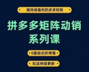 拼多多矩阵动销系列课，能持续盈利的多多矩阵，0基础也听得懂，玩法持续更新-一点通资源网