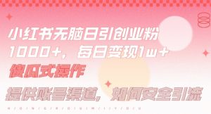 小红书无脑每日引流创业粉500+，小白每天只花半小时，躺赚长尾收益【揭秘】-一点通资源网