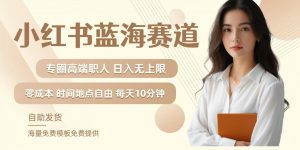 小红书蓝海赛道，圈中高端职场人，月入无上限，可矩阵，内含私域实操教程!-一点通资源网