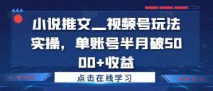 小说推文—视频号玩法实操，单账号半月破5000+收益-一点通资源网