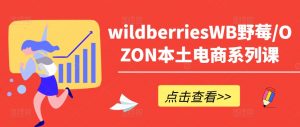 wildberriesWB野莓/OZON本土电商系列课,掌握WB产品优化,出单技巧和订单处理等-一点通资源网