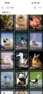 动物科普解说项目，撸创作者伙伴计划收益，保姆级实战教程-一点通资源网