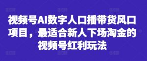视频号AI数字人口播带货风口项目,最适合新人下场淘金的视频号红利玩法-一点通资源网