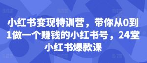 小红书变现特训营，带你从0到1做一个赚钱的小红书号，24堂小红书爆款课-一点通资源网