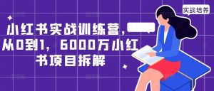 小红书实战训练营,从0到1,6000万小红书项目拆解-一点通资源网