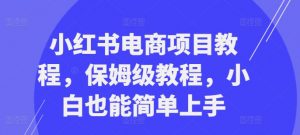 小红书电商项目教程,保姆级教程,小白也能简单上手-一点通资源网
