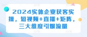 2024实体企业获客实操,短视频+直播+矩阵,三大维度引爆流量-一点通资源网