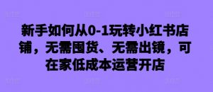 新手如何从0-1玩转小红书店铺,无需囤货、无需出镜,可在家低成本运营开店-一点通资源网