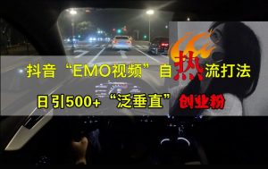 抖音EMO视频自热打法,日引500+“泛垂直”创业粉-一点通资源网