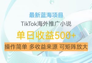 最新蓝海项目,利用tiktok海外推广小说赚钱佣金,简单易学,日入500+,可矩阵放大【揭秘】-一点通资源网
