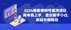 2024最新视频号蓝海项目，简单易上手，适合新手小白，收益长期稳定-一点通资源网