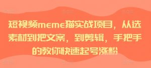 短视频meme猫实战项目，从选素材到把文案，到剪辑，手把手的教你快速起号涨粉-一点通资源网