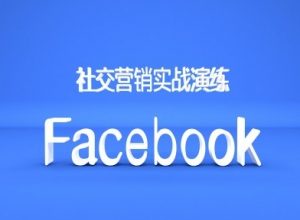 Facebook社交营销实战演练,外贸人绝对不能错过的营销推广平台-一点通资源网
