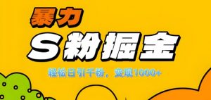 单人单机日引千粉,变现1k+,S粉流量掘金计划攻略【揭秘】-一点通资源网