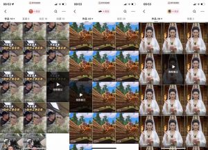 狗熊岭快手连怼技术，好物，涨粉都可以连怼-一点通资源网