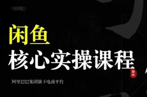 2024闲鱼核心实操课程，从养号、选品、发布、销售，教你做一个出单的闲鱼号-一点通资源网