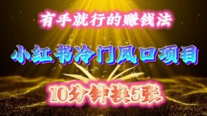 每天 10 分钟,小红书冷门风口项目开启,有手就行的搬运赚钱法,小白日入500 +【揭秘】-一点通资源网