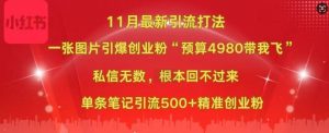 小红书11月最新图片打粉,一张图片引爆创业粉,“预算4980带我飞”,单条引流500+精准创业粉-一点通资源网