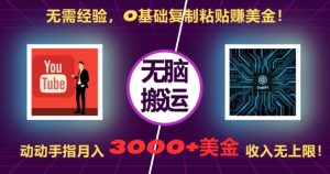 无需经验，0基础复制粘贴赚美刀，动动手指，月入3000+刀，无上限【揭秘】-一点通资源网