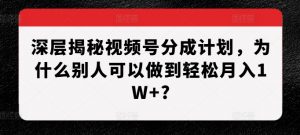 深层揭秘视频号分成计划，为什么别人可以做到轻松月入1W+?-一点通资源网