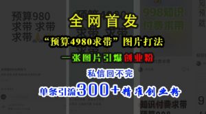 小红书“预算4980带我飞”图片打法，一张图片引爆创业粉，私信回不完，单条引流300+精准创业粉-一点通资源网