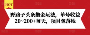 野路子头条撸金玩法,单号收益20~200+每天,项目包落地-一点通资源网