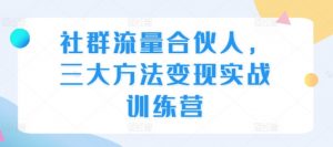 社群流量合伙人，三大方法变现实战训练营-一点通资源网