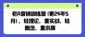 老A营销训练营(更24年11月)，轻理论，重实战，轻概念，重本质-一点通资源网