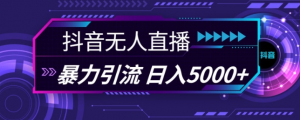 抖音快手视频号全平台通用无人直播引流法，利用图片模板和语音话术，暴力日引流100+创业粉【揭秘】-一点通资源网