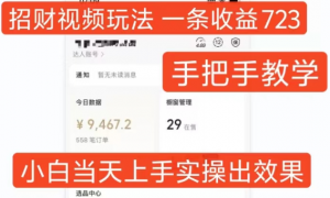 招财视频玩法，一条视频收益723，手把手教学，小白当天可上手-一点通资源网