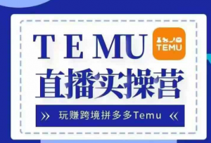 Temu直播实战营，玩赚跨境拼多多Temu，国内电商卷就出海赚美金-一点通资源网