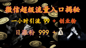 微信超级流量入口揭秘:一小时引流 99 + 创业粉,日涨粉 999 +-一点通资源网