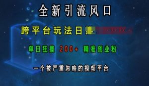 全新引流风口，跨平台玩法日入上k，单日狂揽200+精准创业粉，一个被严重忽略的视频平台-一点通资源网
